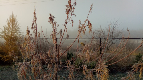IMG-20211102-WA00128ad02b0b518ec946.jpg
