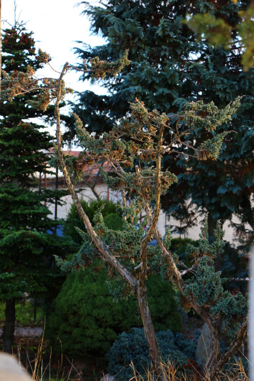 IMG_07215cb7bd19eb6fc8cc.jpg