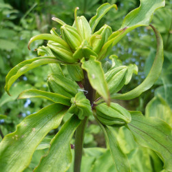 P14003805a7be98e0d0a2ae9