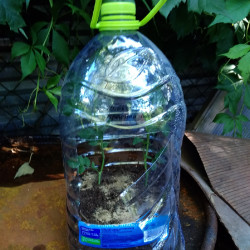 IMG_20190616_17315145ce1e7e470c9b22