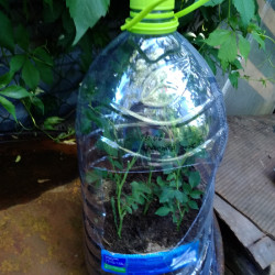 IMG_20190616_1736127b65e0e4f93dbdb4