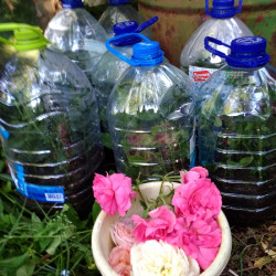 IMG_20190616_1743338f6c5a6216f679a1