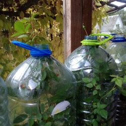 IMG_20190921_1332469b1951c6d24e9457