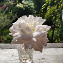 IMG_20200822_10471037614f9b4b8f1186