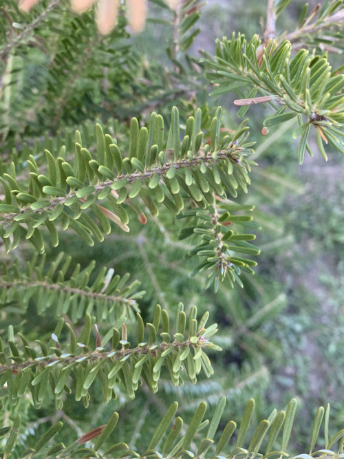 50615E3E-3DB4-4B26-9A34-0F9C2BA2B5FB74f0d5da3edfd44b.jpg