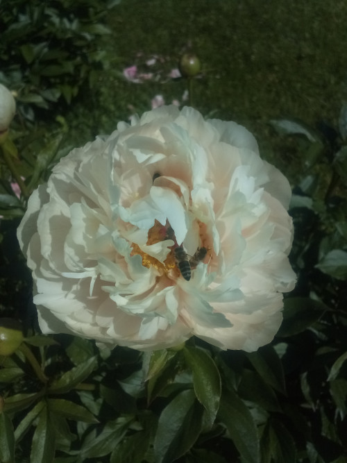 IMG 20230611 094057