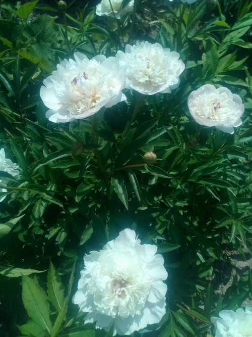 IMG 20230617 141430