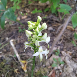 IMG_20230608_1050328347bb0e8ef3e7e7