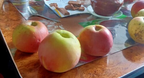 IMG-20231005-WA0005_crcf0567d5de7257ce.jpg